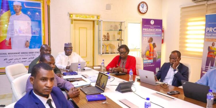 Tchad : Le jury de sélection du PROJIACE officiellement installé
