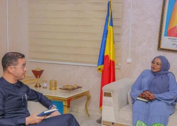 TCHAD : Une délégation de la BAD accueillie au ministère de l&rsquo;action sociale