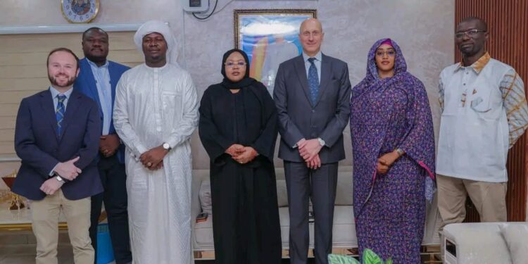 ​Tchad : La crise des réfugiés au cœur des échanges entre Zara Mahamat Issa et le diplomate américain William Flens