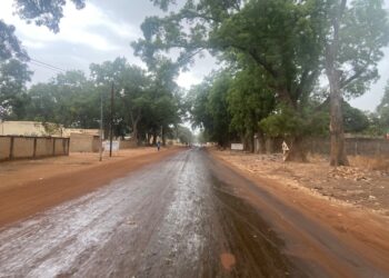 ​Doba : Les premières pluies réveillent l’espoir d’une saison fertile