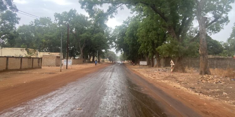 ​Doba : Les premières pluies réveillent l’espoir d’une saison fertile