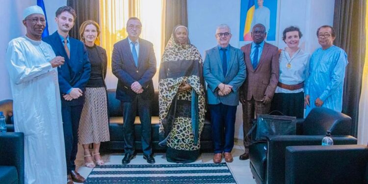 Tchad : renforcement de la coopération bilatérale dans le secteur des transports