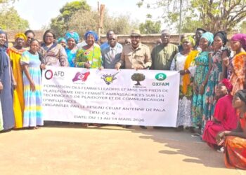 Mayo Kebbi Ouest : Les femmes leaders formées au plaidoyer pour influencer les politiques publiques