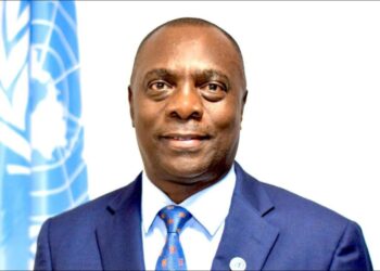 Tchad : Les Nations Unies condamnent l&rsquo;attaque meurtrière de drone à Tiné