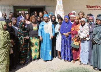 Tchad : La HAMA forme les femmes journalistes sur l&rsquo;intelligence artificielle.