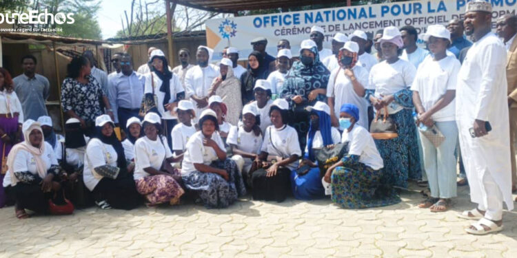 Tchad : L&rsquo;ONAPE forme 50 Jeunes en hôtellerie, restauration et tourisme