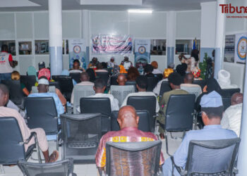 Tchad : La Cour des comptes met en lumière le rôle des femmes dans la gouvernance à l&rsquo;occasion de la Senafet