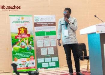 Tchad : L&rsquo;ITRAD mobilise les experts pour l&rsquo;autosuffisance de la filière blé