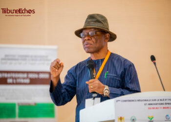 ​Tchad : L’Afrique de l’Ouest et du Centre s&rsquo;unit pour la souveraineté de la filière blé