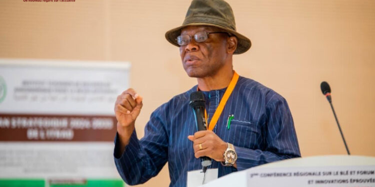 ​Tchad : L’Afrique de l’Ouest et du Centre s&rsquo;unit pour la souveraineté de la filière blé