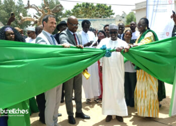 ​N&rsquo;Djaména : La 2ème édition de la foire des produits forestiers non ligneux ouvre ses portes