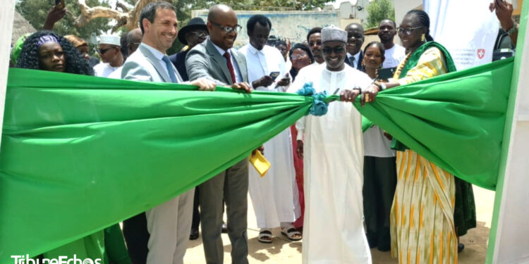 ​N&rsquo;Djaména : La 2ème édition de la foire des produits forestiers non ligneux ouvre ses portes