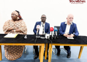 Tchad : L&rsquo;Association Alumi France – Tchad tient son Assemblée générale ordinaire