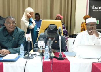 ​Tchad : L&rsquo;ANPT en assemblée générale pour exiger une décentralisation effective