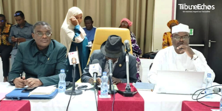 ​Tchad : L&rsquo;ANPT en assemblée générale pour exiger une décentralisation effective