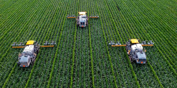 بوركينا فاسو تحصل على 215.9 مليون دولار من البنك الدولي لتحويل قطاع الزراعة