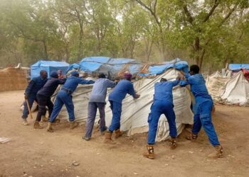 N&rsquo;djamena : Milezi en pleine transformation vers un futur parc d’attraction