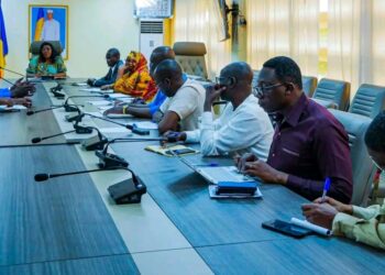 Tchad : Une équipe des tradipraticiens reçue au ministère de la Santé