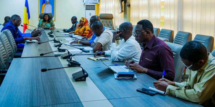 Tchad : Une équipe des tradipraticiens reçue au ministère de la Santé