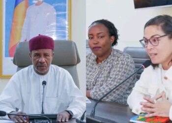 ​Tchad : Le Ministre de la Santé publique reçoit une délégation de « Expertise France »