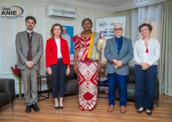 Tchad : L&rsquo;ANIE et l&rsquo;Ambassade de France explorent de nouveaux leviers de croissance