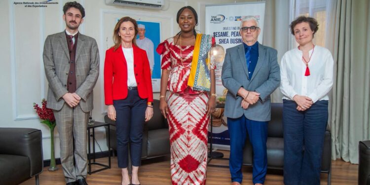 Tchad : L&rsquo;ANIE et l&rsquo;Ambassade de France explorent de nouveaux leviers de croissance