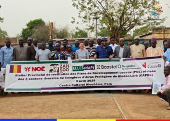 ​Mayo-Kebbi Ouest : Les Plans de Développement Locaux de Binder-Léré au cœur d’un atelier à Pala