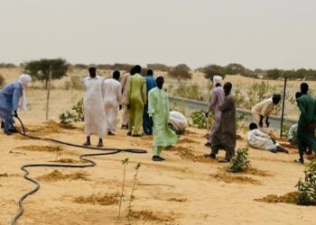 Hadjer Lamis : Toumsery se reverdit grâce à l&rsquo;impulsion du suivi environnemental