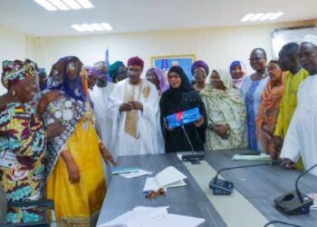 Tchad : Le ministre de la santé reçoit l’Ordre national et l’Association des sages-femmes pour des réformes sanitaires