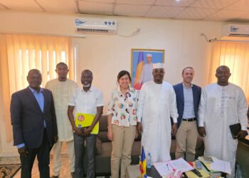 ​Tchad : l&rsquo;ANATS et l&rsquo;UNHCR renforcent leur collaboration technique