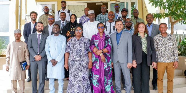 ​Tchad : La transformation numérique au service de l&rsquo;efficacité des campagnes de santé