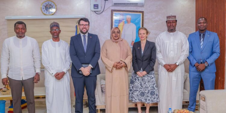 ​Tchad : Renforcement de la coopération humanitaire avec le Royaume-Uni