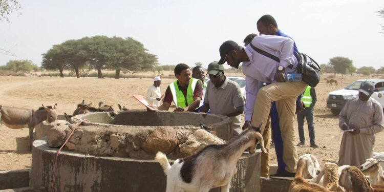 ​Wadi-Fira : Le projet PIER-EW concrétise l&rsquo;accès à l&rsquo;eau en zone rurale