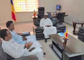 L’Ambassade du Tchad au Niger accueille le nouveau bureau de l’AEESTN‎