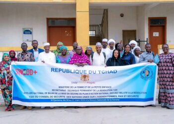 ​Tchad : Résolution 1325, l&rsquo;heure du premier bilan pour le Plan d&rsquo;Action National