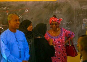 Tchad : Formation et insertion, le Ministère de la Jeunesse et DirectAid consolident leur partenariat