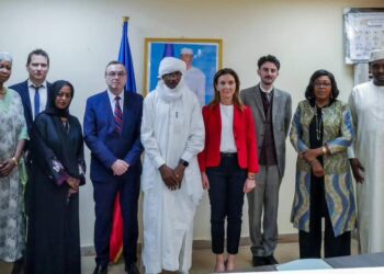 ​Coopération : Le Tchad et la France scellent de nouvelles ambitions pour la santé publique