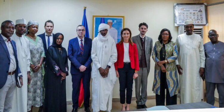​Coopération : Le Tchad et la France scellent de nouvelles ambitions pour la santé publique