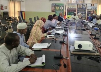 N’Djamena : Vers une modernisation de la filière viande et de l&rsquo;abattage