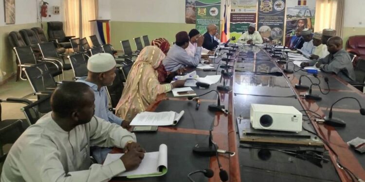 N’Djamena : Vers une modernisation de la filière viande et de l&rsquo;abattage