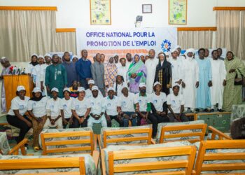 Tchad : Formation et reconversion de 50 jeunes en arts numériques