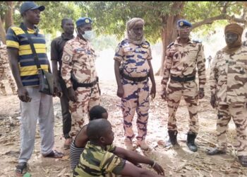 ​Moyen-Chari : Deux présumés voleurs de bétail aux arrêts​