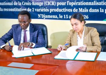 ​Tchad : L’ITRAD et le CICR s’unissent pour la multiplication des semences « Matafo »