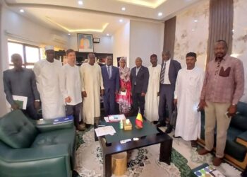 Tchad : Vers une labellisation mondiale de la spiruline « Dié »