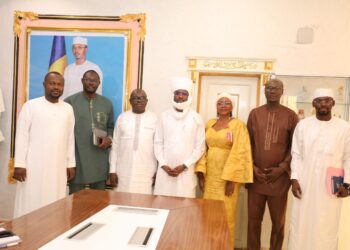 Tchad : L’ONAPE et la GIZ s&rsquo;accordent sur le déploiement du projet SME LOOP