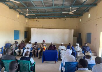 ​Sila : Mobilisation générale pour la campagne de vaccination contre la poliomyélite à Goz-Beïda