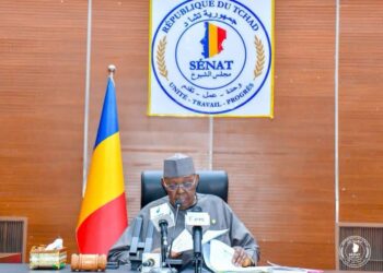 Tchad : Le Sénat ratifie un accord de prêt majeur avec la BADEA