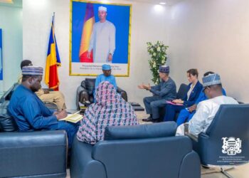 Tchad : le Ministre des Télécommunications reçoit le représentant du PNUD