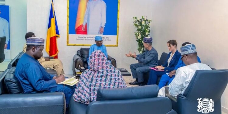 Tchad : le Ministre des Télécommunications reçoit le représentant du PNUD