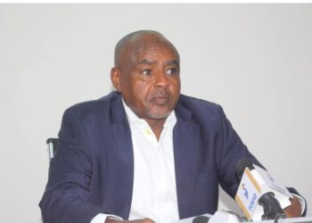 Tchad: Clarification sur la remise en circulation d’une ancienne interview de TribuneEchos avec le Directeur général de la TCHADELEC ancien SNE, le Général Saleh Ben Haliki